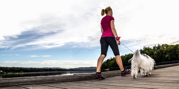 可以戴在手腕上的遛狗绳Lishinu 让你更轻松遛狗(图3) 可以戴在手腕上的遛狗绳Lishinu 让你更轻松遛狗--置顶表情